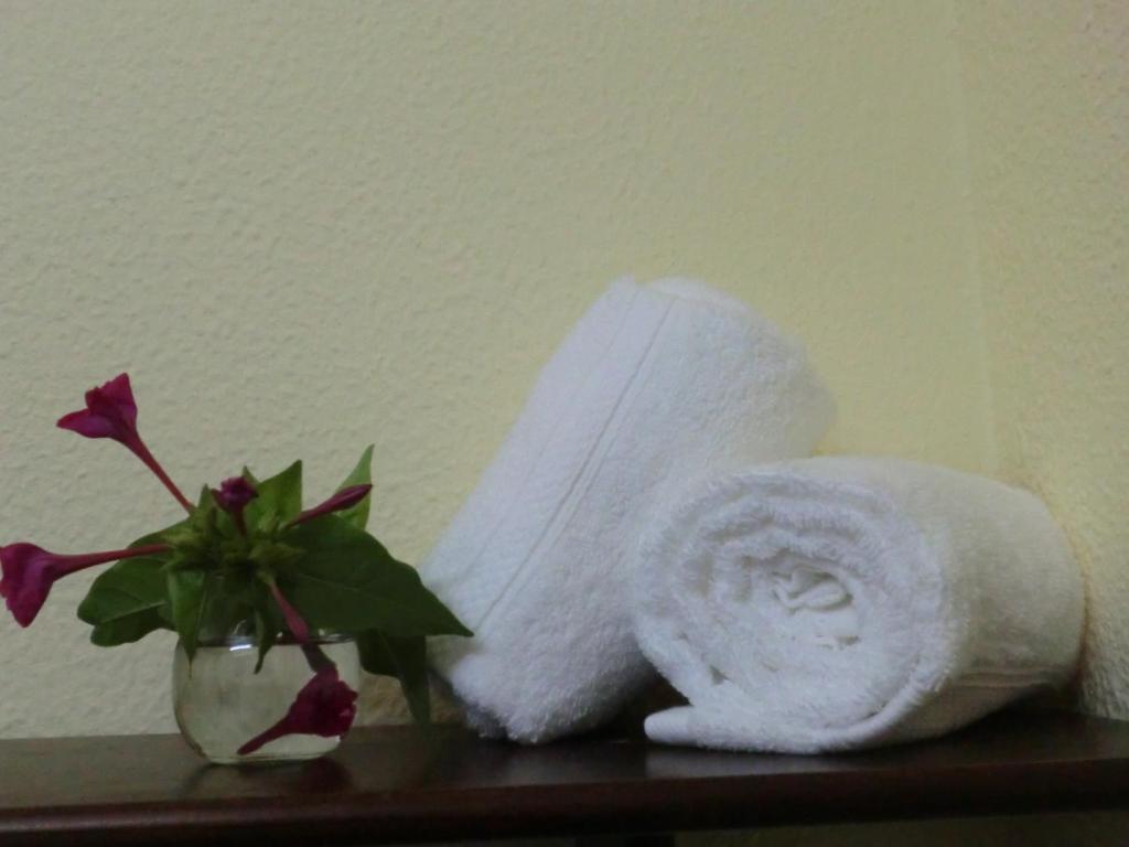 Varandas de Alter Hotel & SPA, Alter Do Chao — photo 3