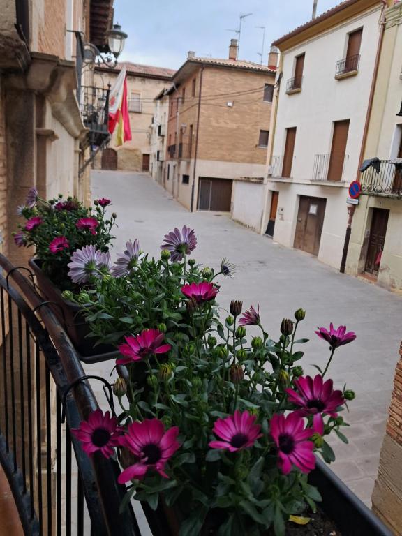 Albergue Casa Arqueña, Los Arcos