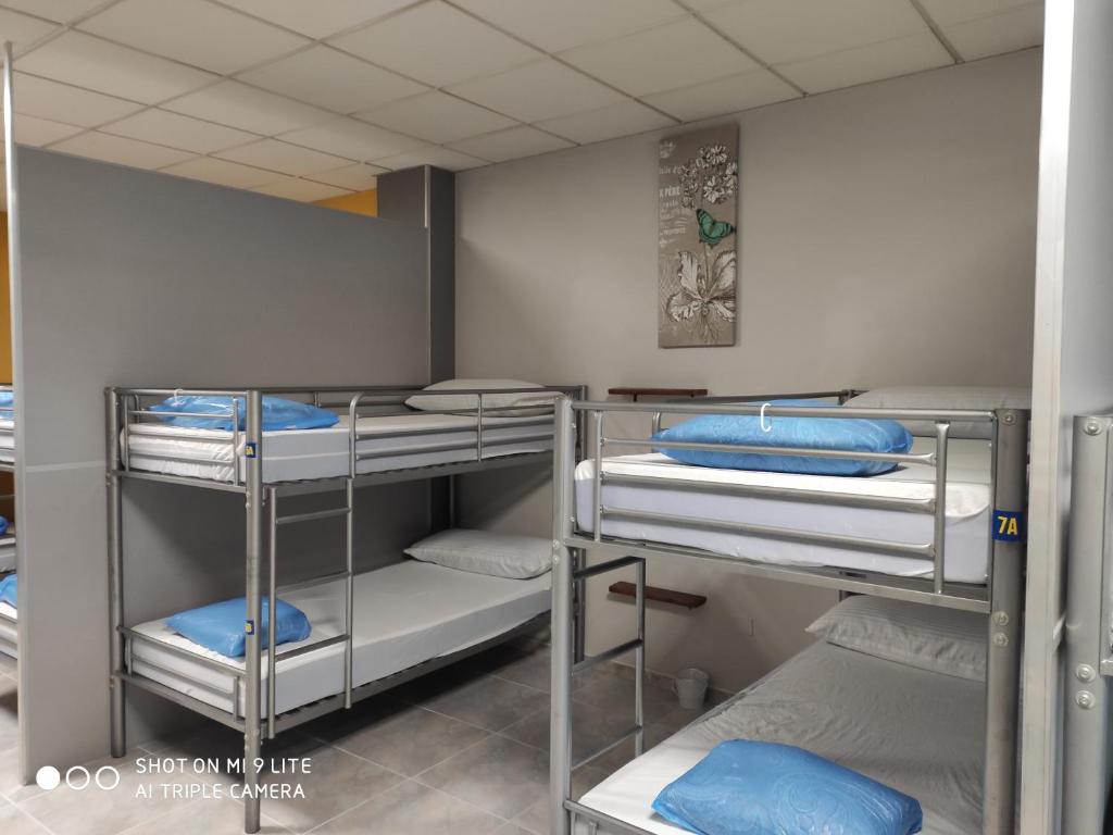 Albergue Arraigos, Melide — photo 2