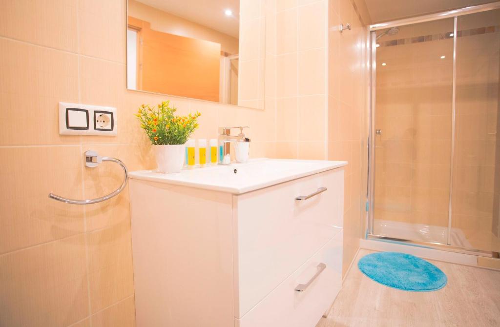 Apartamentos Amaiur 2, Estella — photo 3