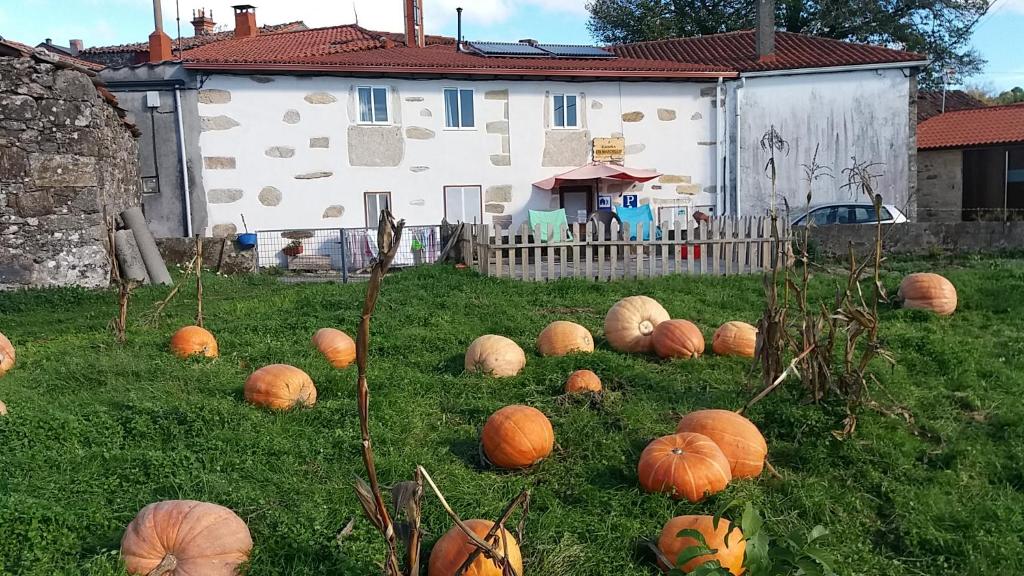 Albergue A Casiña di Marcello, Palas de Rei
