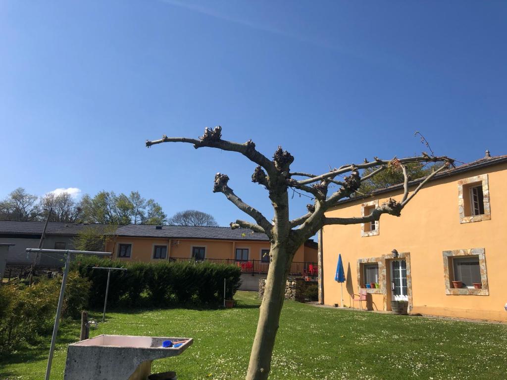 Albergue O Cruceiro, Ventas de Naron — photo 2