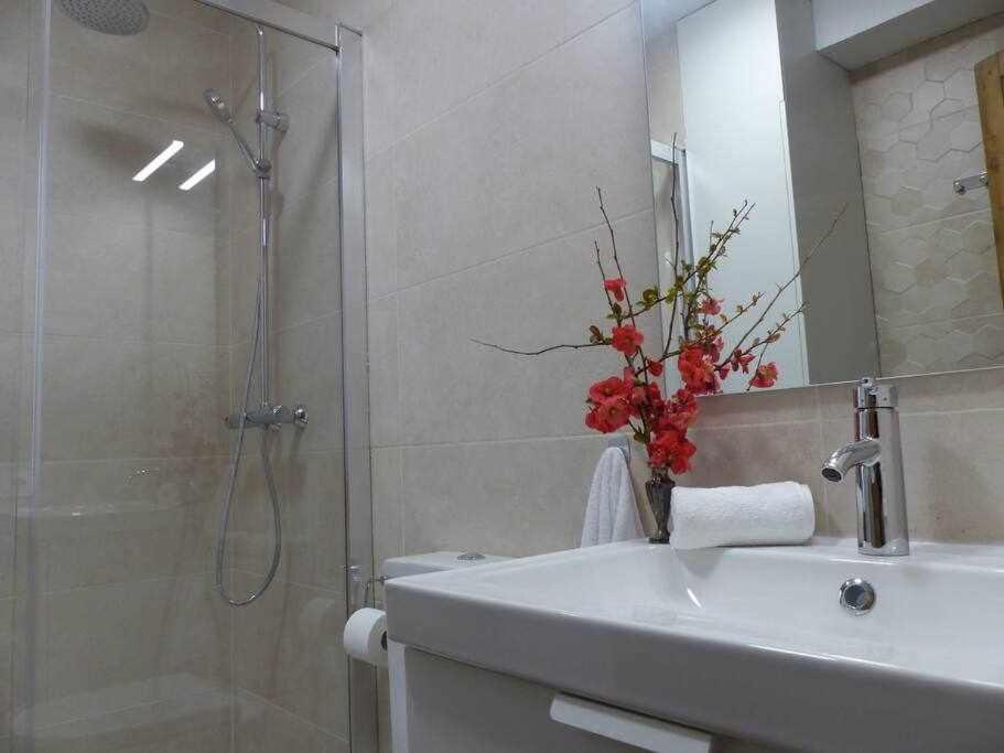 Apartamento Ábside De San Juan Ii, Estella — photo 2