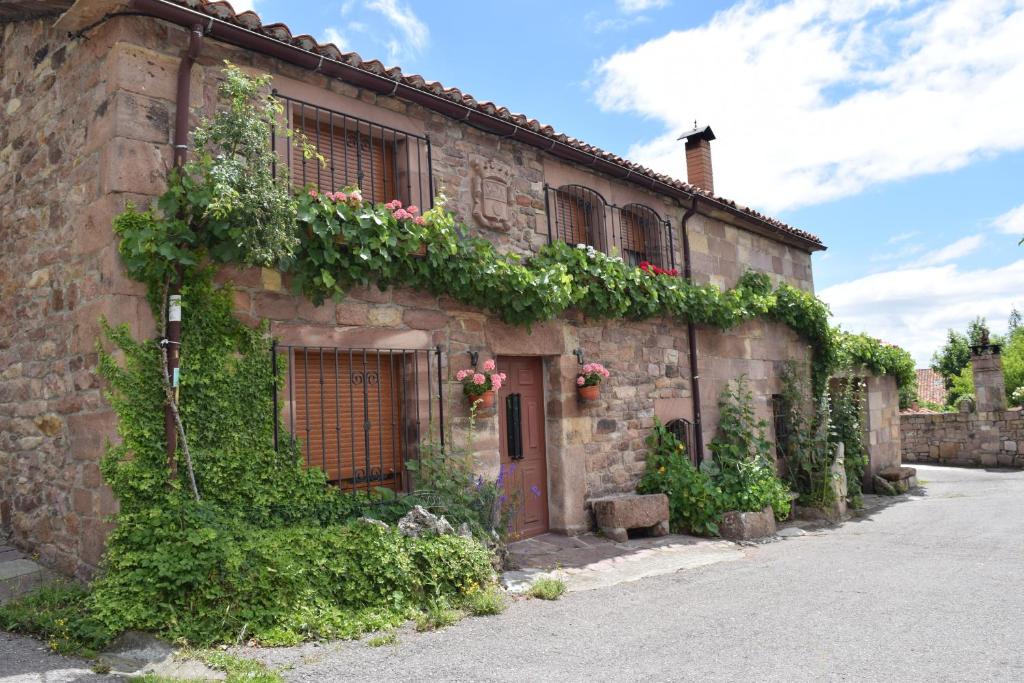 Casa Miguel, Olea