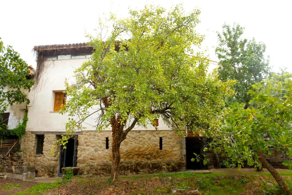 Albergue Turístico Vía de la Plata de Baños de Montemayor, Baños de Montemayor — photo 3
